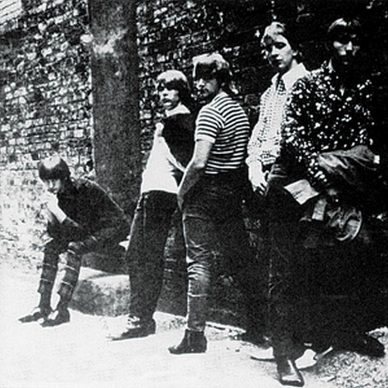 Shadows Of Knight - 1966: Raw 'n Alive At The Cellar (mono - Vinyl)