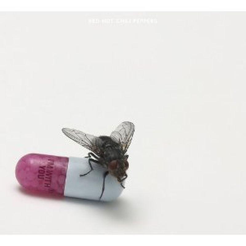 Red Hot Chili Peppers - I'm With You - Cd