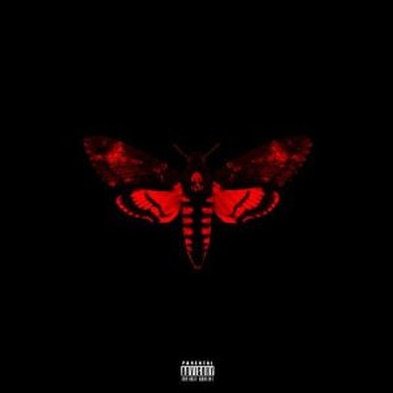 Lil Wayne - I Am Not A Human Being 2 (advisory - Cd)