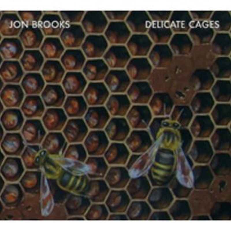 Delicate Cages