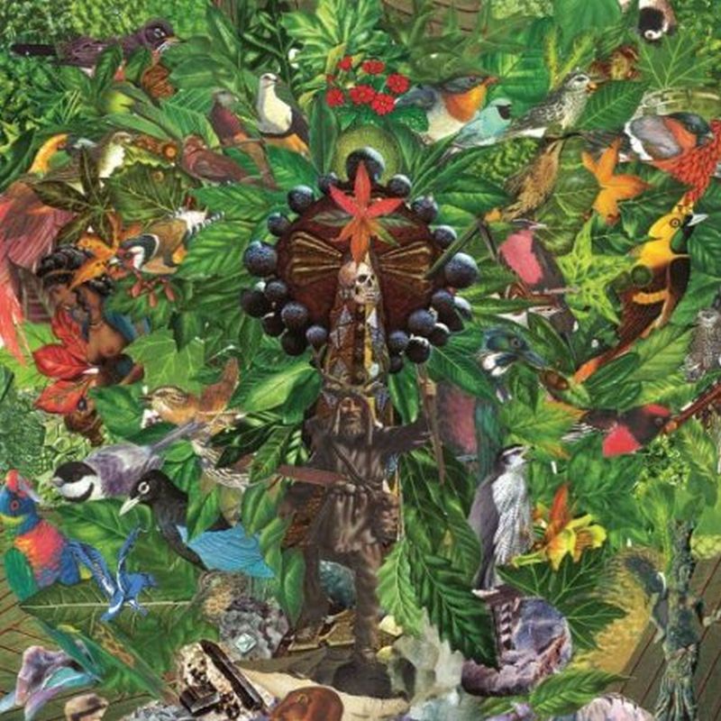 Plankton Wat - Drifter's Temple - Vinyl