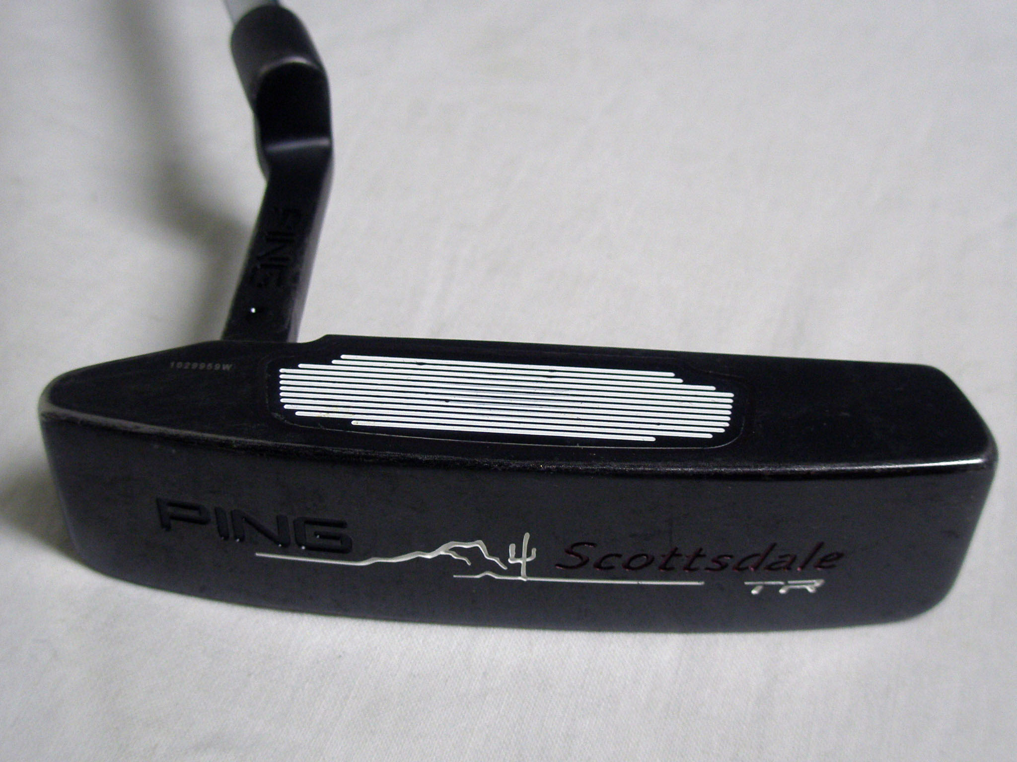 Click an Image to Enlarge