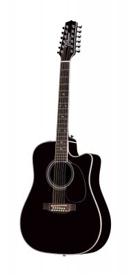 Takamine EF381SC 12-String Ac/El Cutaway w/Case