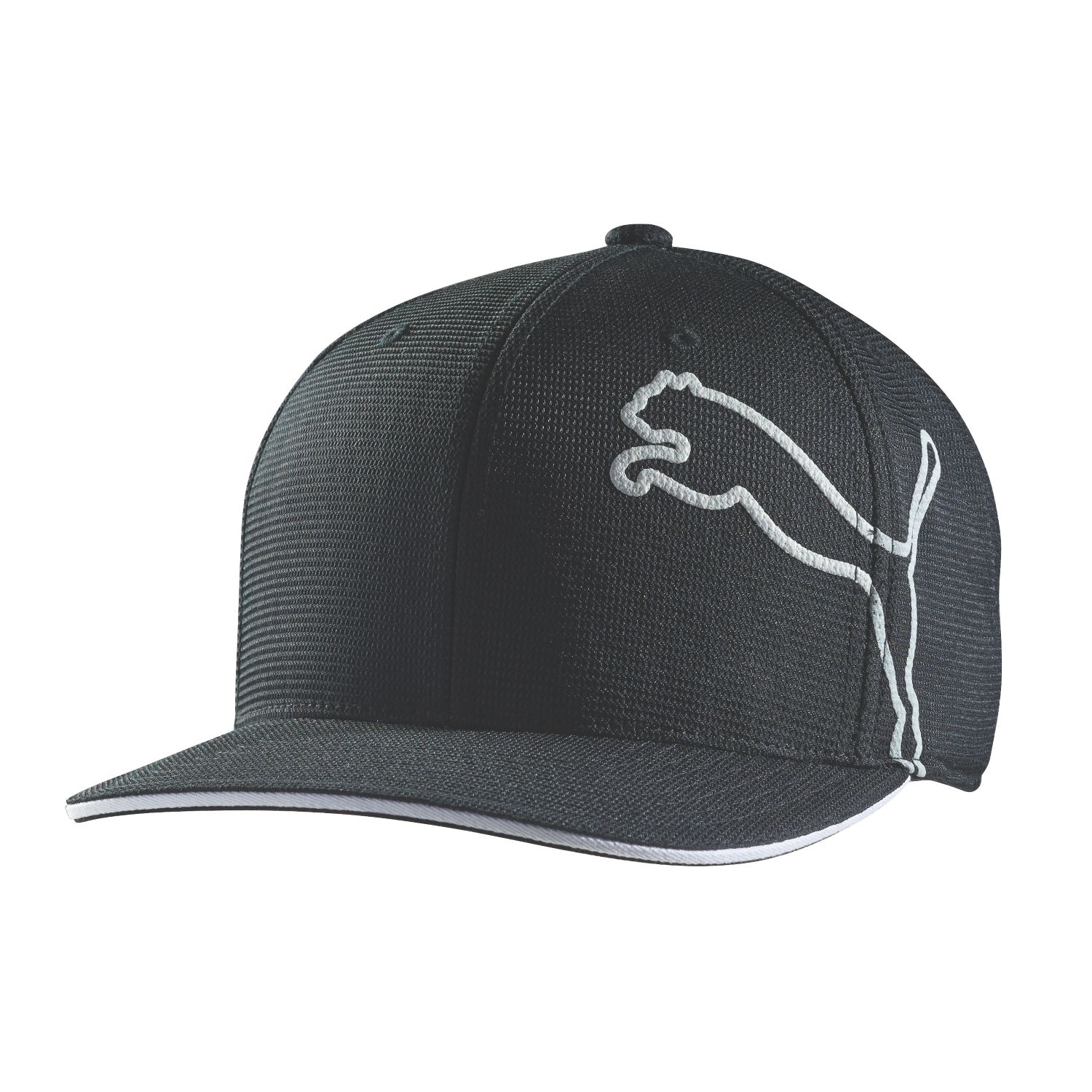 puma snapback cap
