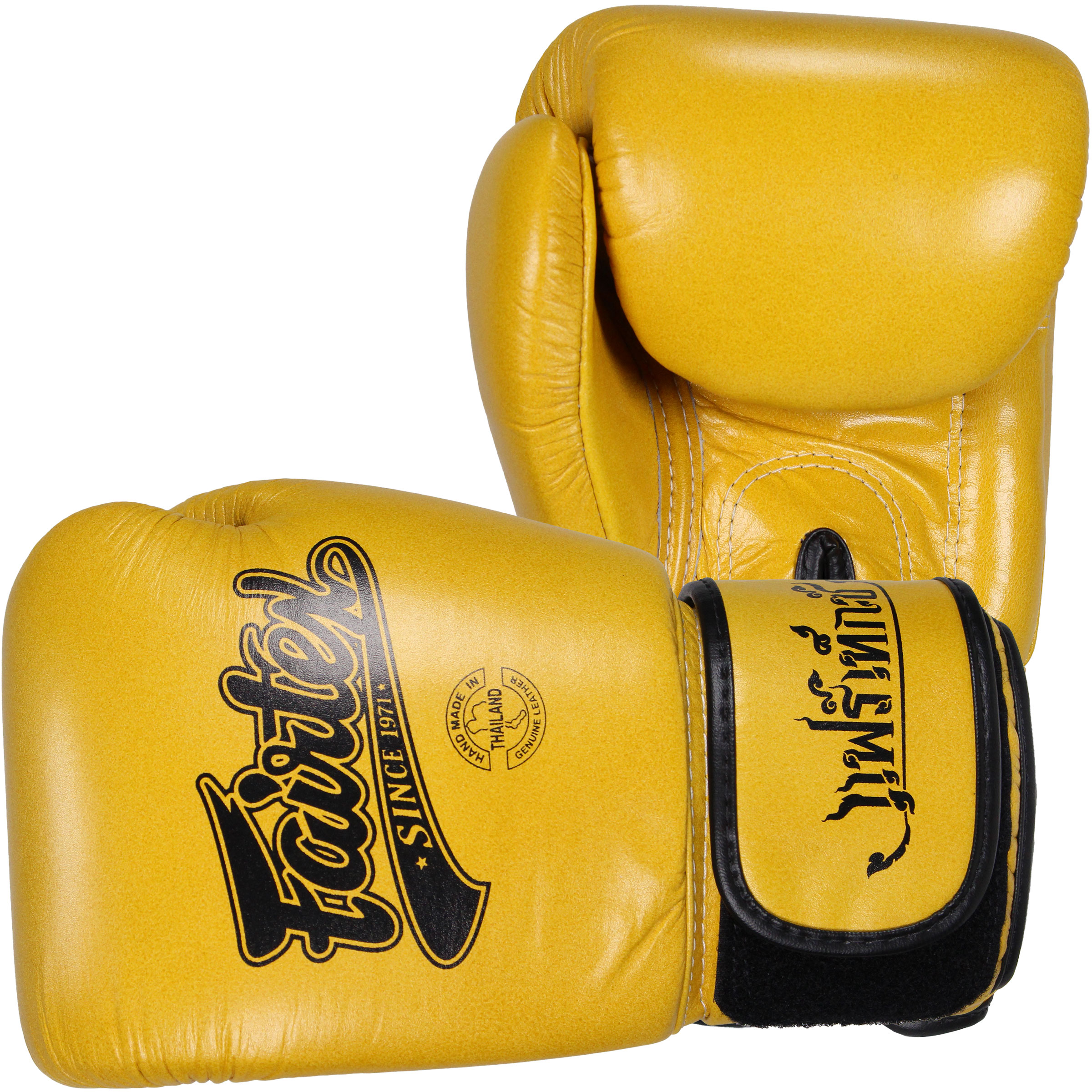 Fairtex BGV1 Boxing gloves with Package