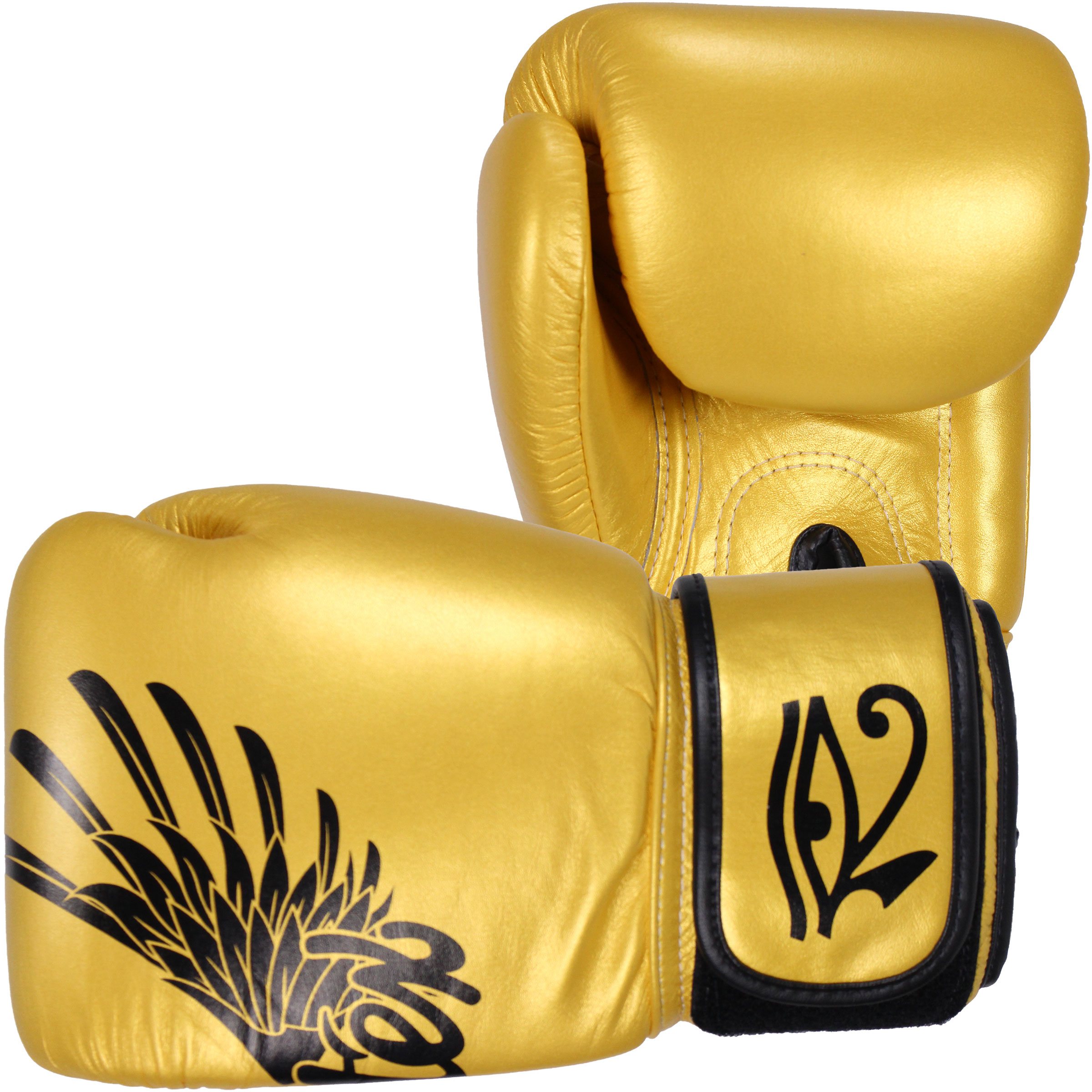 Fairtex BGV1 Boxing gloves with Package