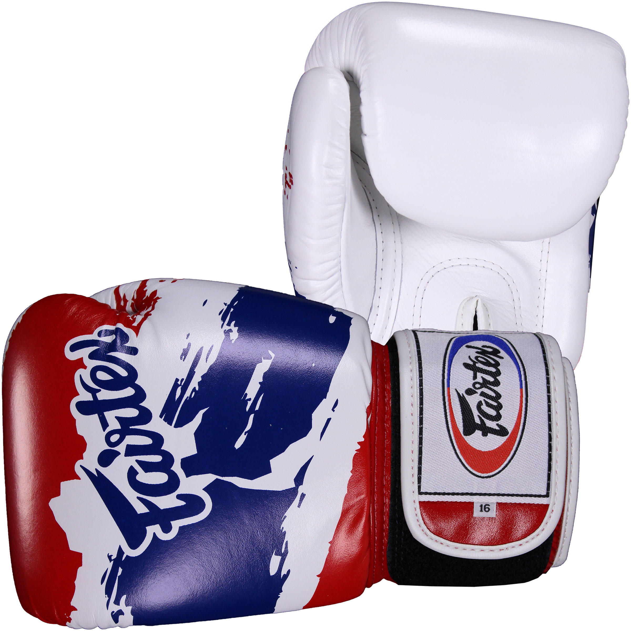 Fairtex BGV1 Boxing gloves with Package
