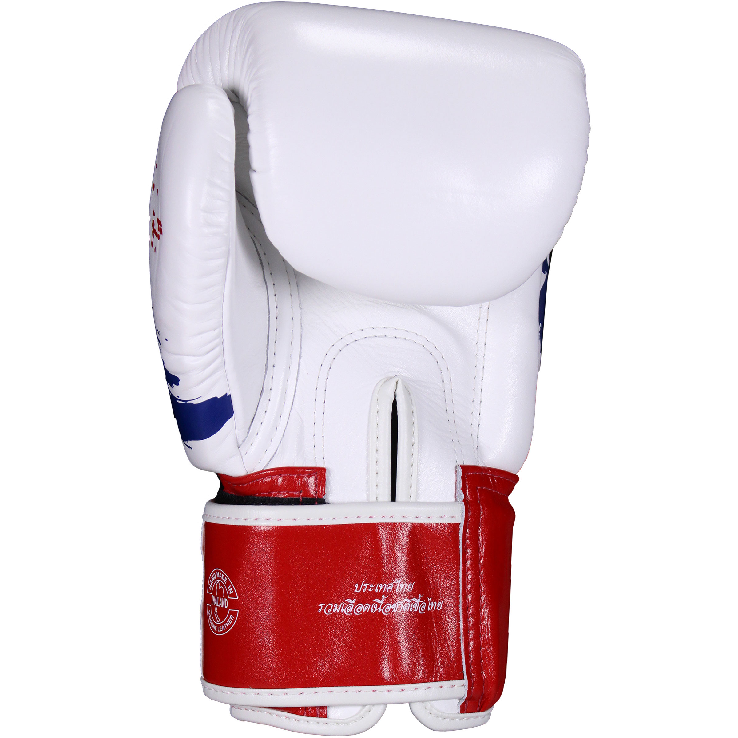 Fairtex BGV1 Boxing gloves with Package