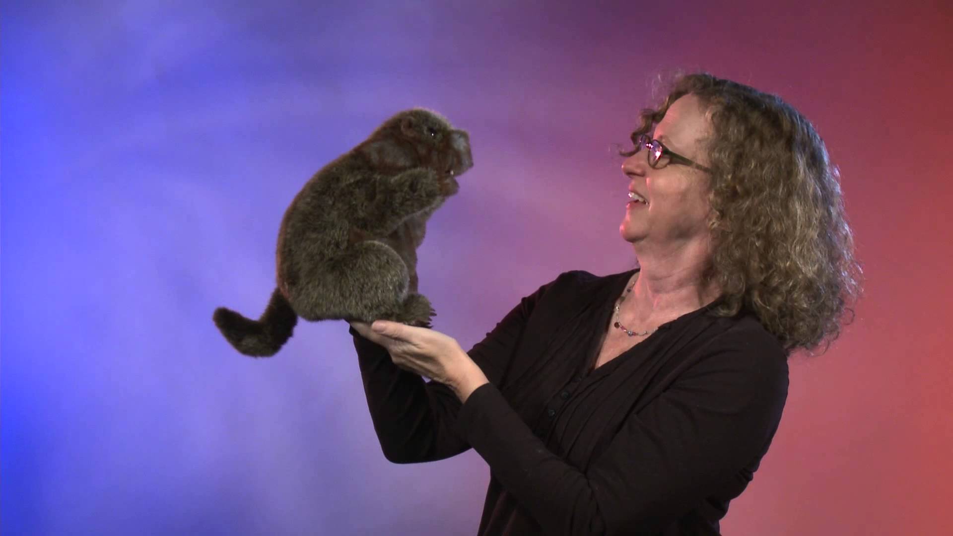 Folkmanis Groundhog Hand Puppet eBay