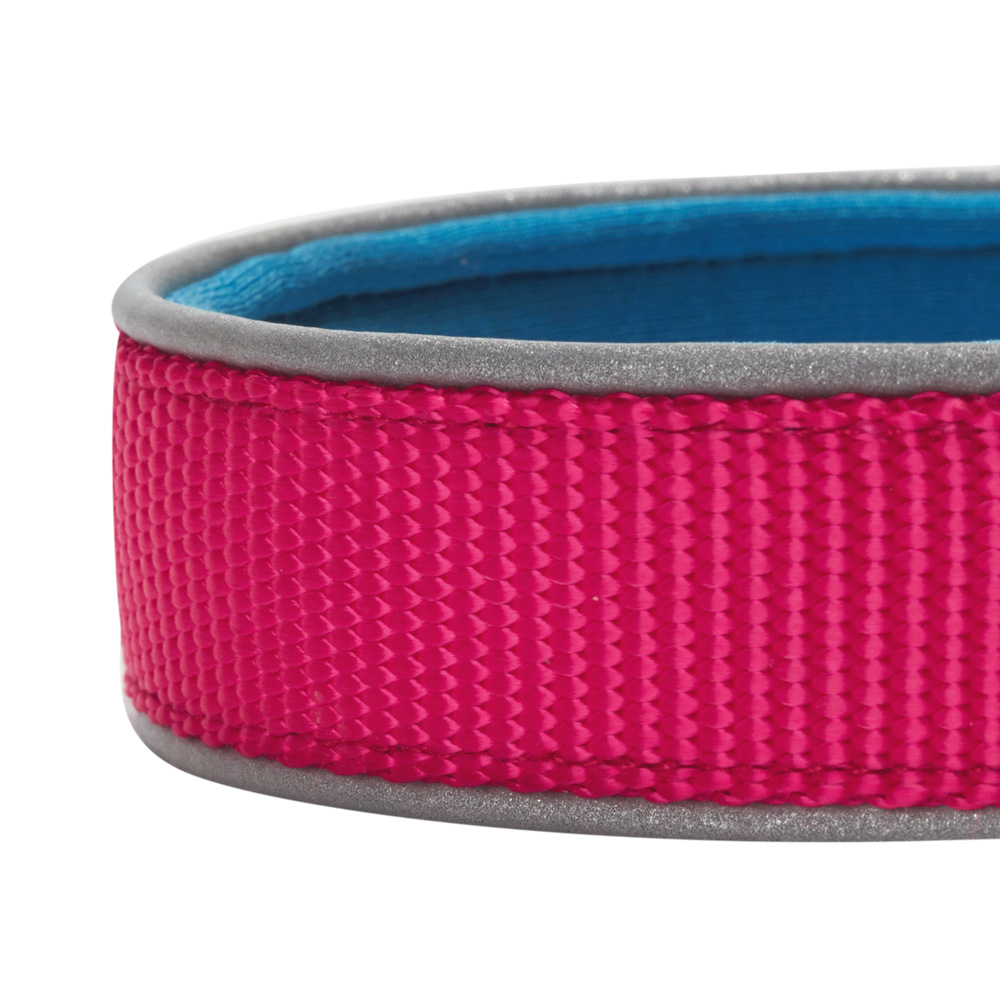 Blueberry Pet New Summer Hope 3M Reflective Neoprene Classic Padded Dog Collar eBay
