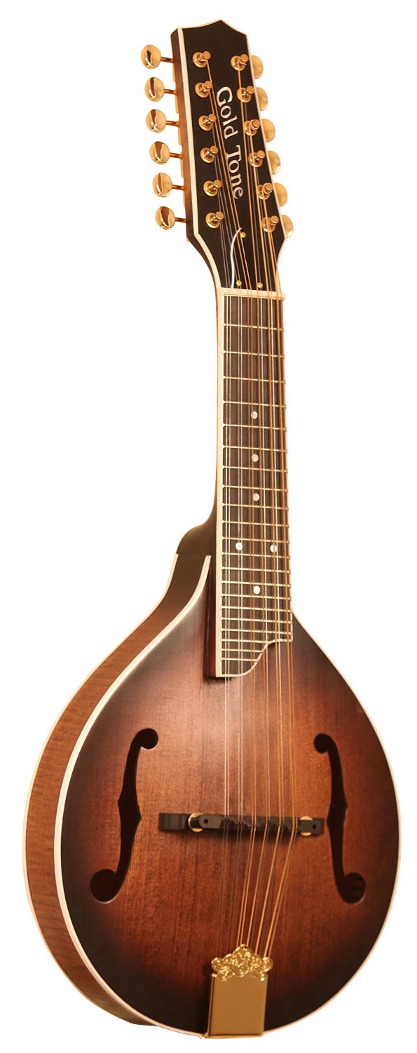 Gold Tone GM12+/L 12String Guitar Mandolin with Pickup, Lefty eBay