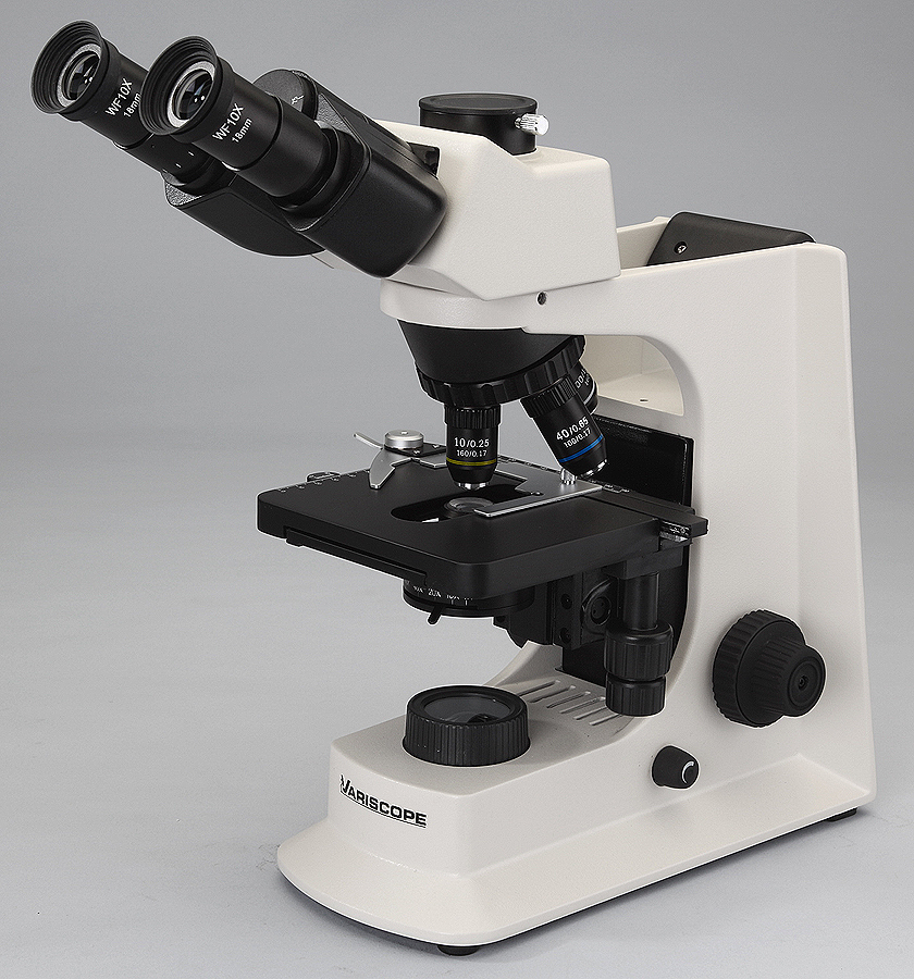 Professional Trinocular Compound Microscope w 40x1600x eBay