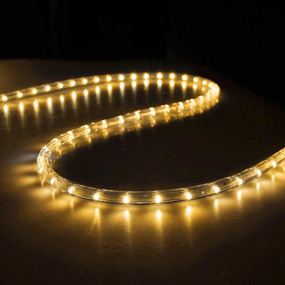 delight led strip rope light waterproof garden outdoor delight led strip rope light waterproof garden outdoor