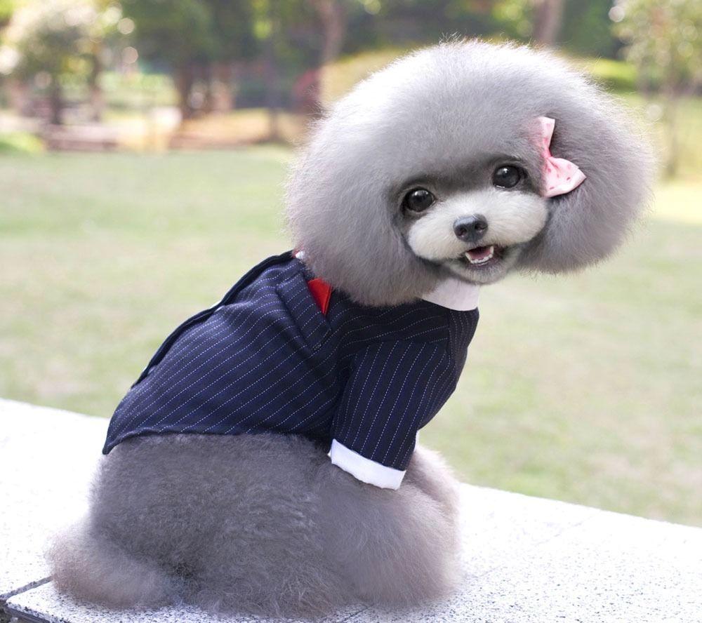 Small Dog Clothes for Girl Boy Dog Costume Swallowtail Suit Wedding