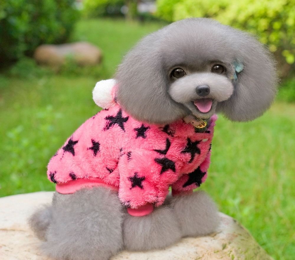 3 color Stars Fleece Coat Sweater Jumper Hoodie Small Boy Girl Dog