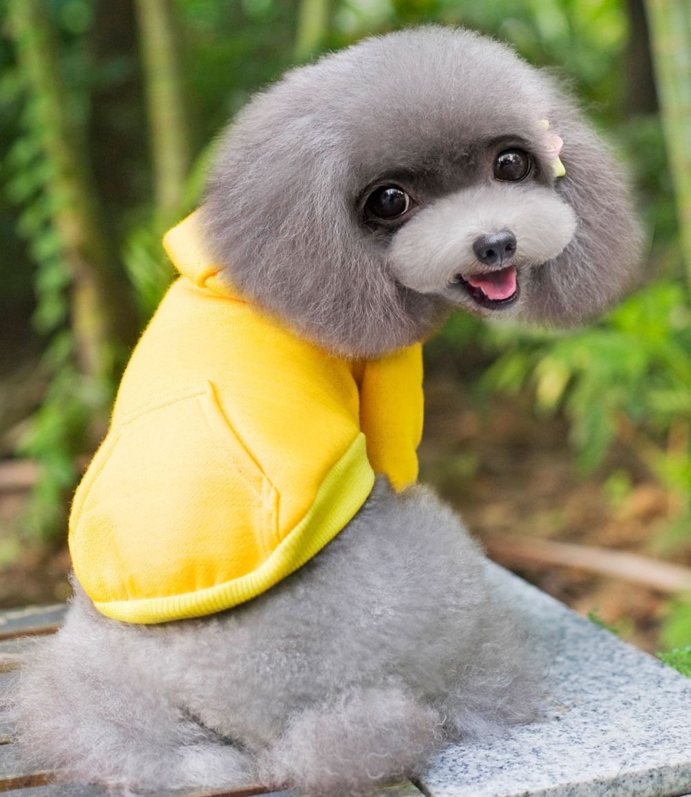 7 color 100 Cotton Coat Sweater Jumper Hoodie Small Boy Girl Dog