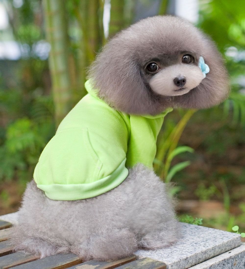 7 color 100 Cotton Coat Sweater Jumper Hoodie Small Boy Girl Dog