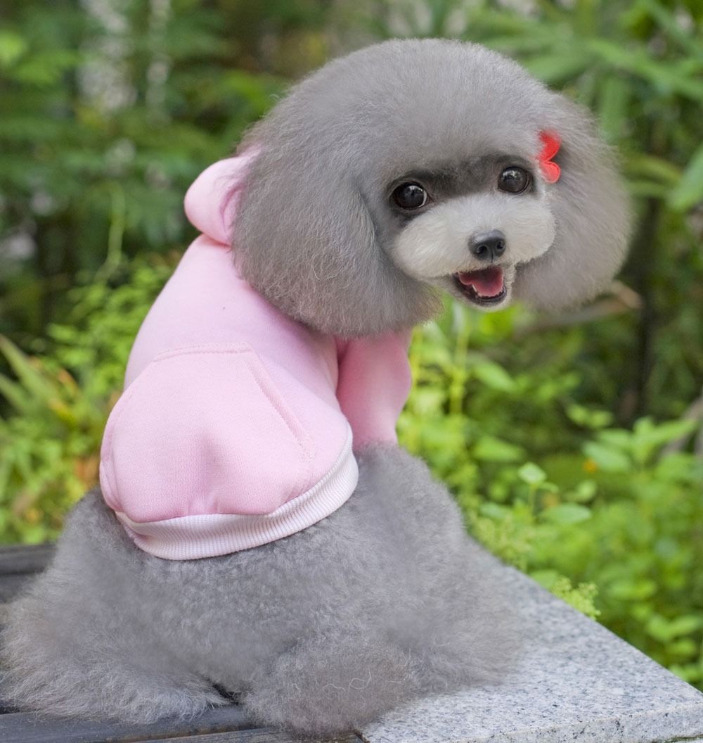 7 color 100 Cotton Coat Sweater Jumper Hoodie Small Boy Girl Dog Clothes SXXL eBay