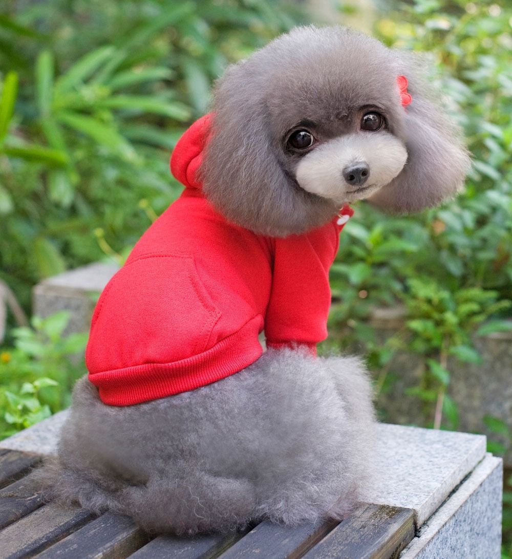 7 color 100 Cotton Coat Sweater Jumper Hoodie Small Boy Girl Dog Clothes SXXL eBay