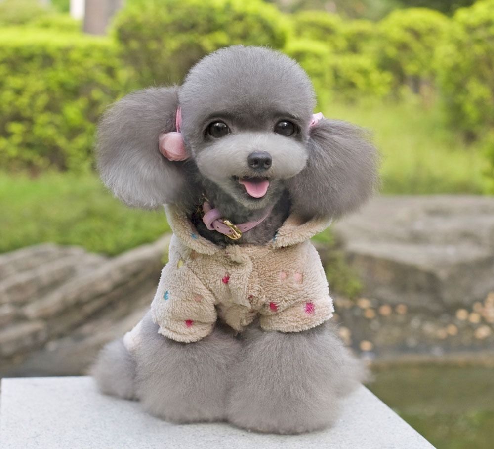 Colorful Dots Hoodie Fleece Jumpsuit Pajamas Small boy girl dog Clothes