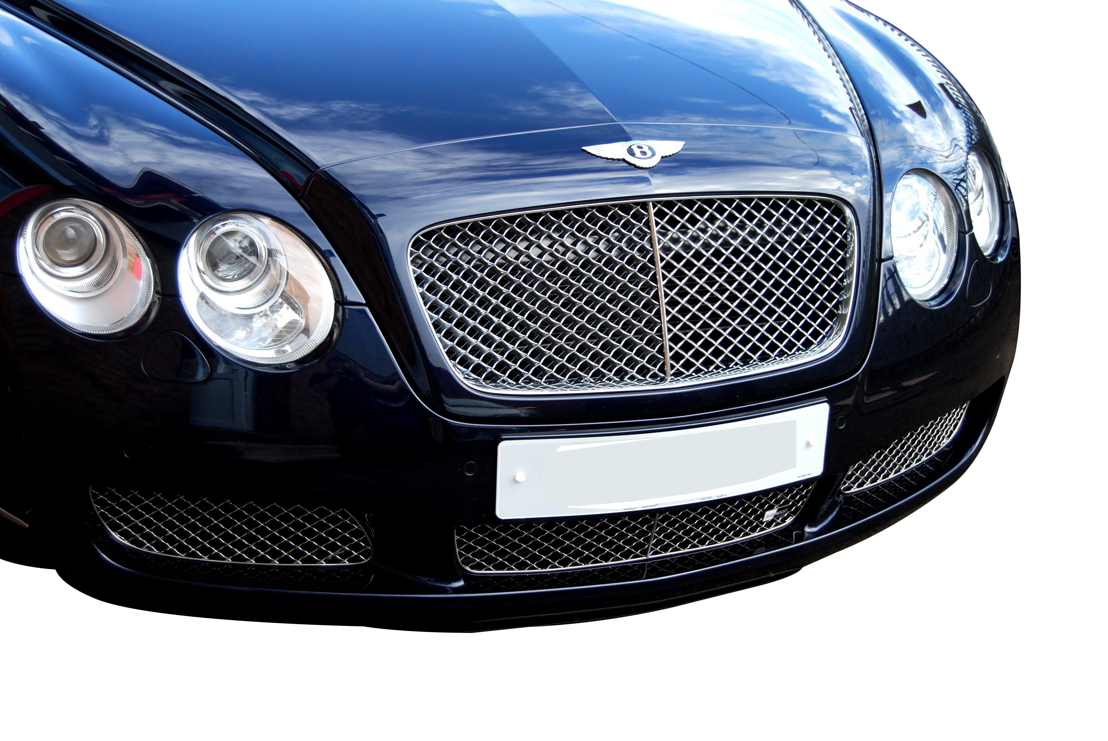 Bentley Continental Gt Lower Grille Grill Set Silver
