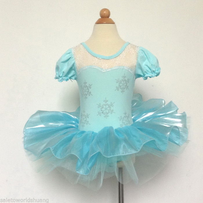 Girl Frozen Ballet Leotard Tutu Dance Dress Skirt Kid 212Y Dancewear