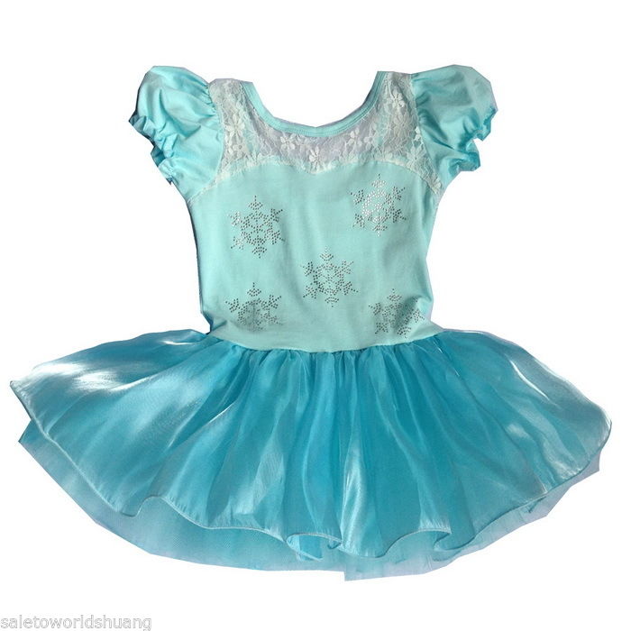 Girl Frozen Ballet Leotard Tutu Dance Dress Skirt Kid 212Y Dancewear