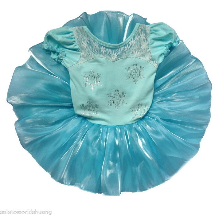 Girl Frozen Ballet Leotard Tutu Dance Dress Skirt Kid 212Y Dancewear