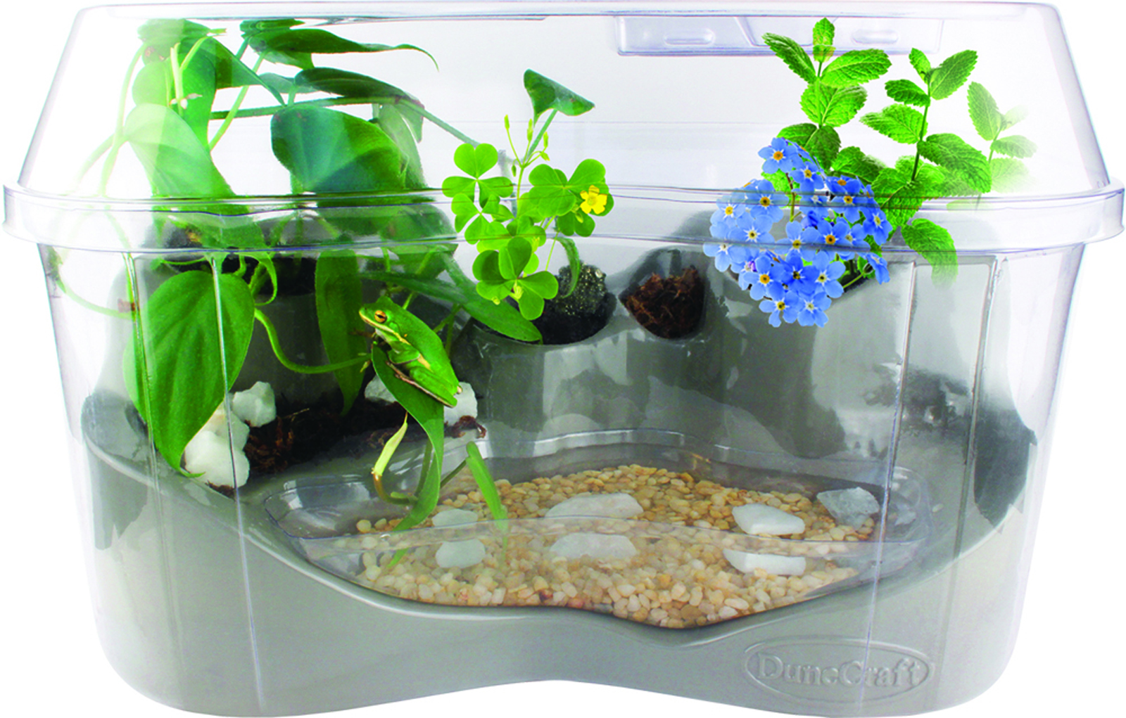 Dunecraft The Ultimate Habitat Science Kit Frog Reptile House with Real