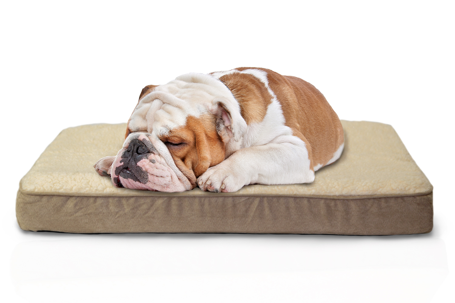 FurHaven Pet Nap Pet Bed Deluxe EggCrate Orthopedic Mat Pet Bed Dog