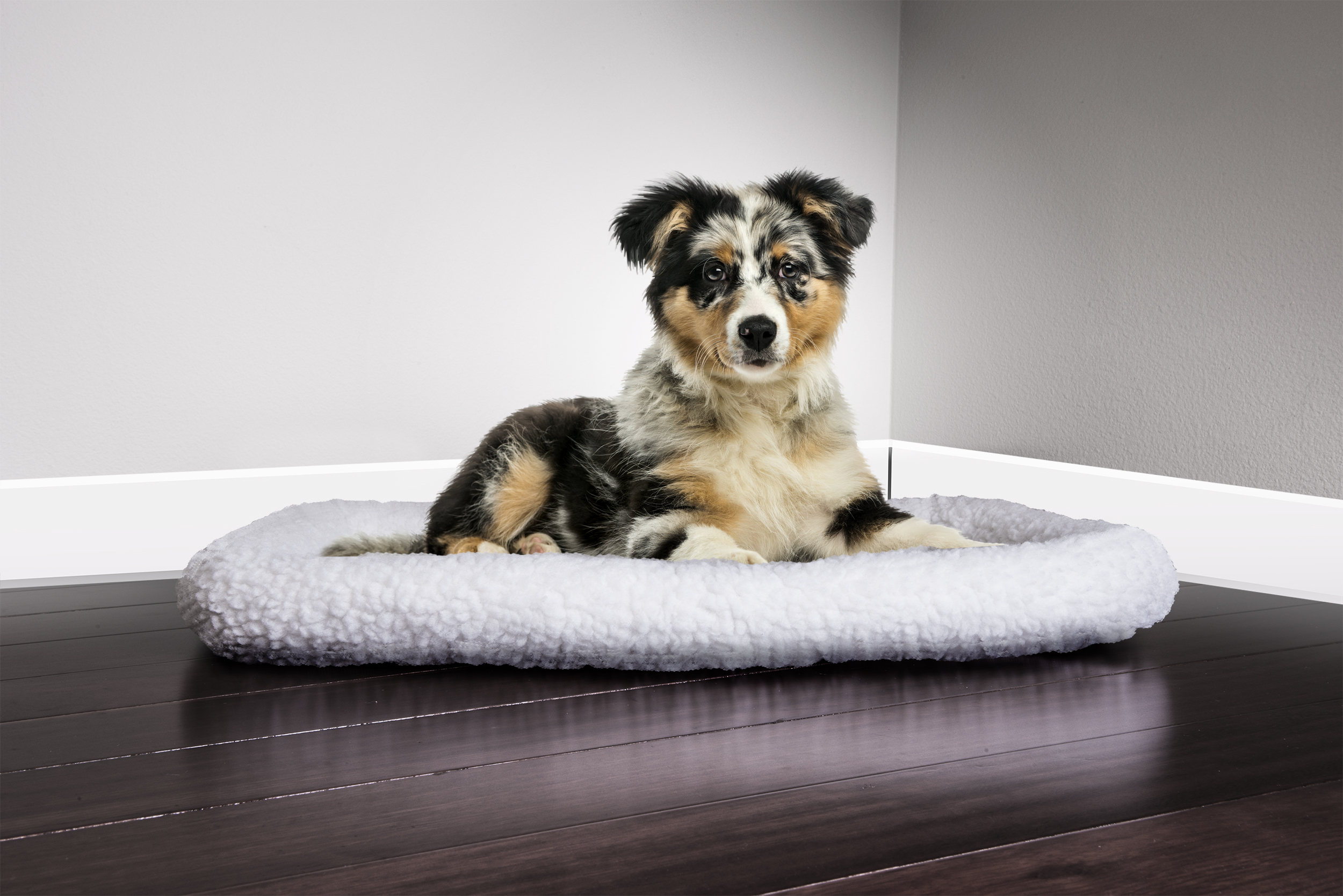 FurHaven Pet NAP Bolster Crate Kennel Pet Bed Dog Bed eBay