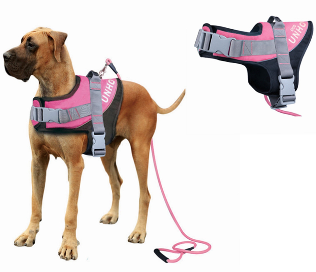 Dog Training Not To Pull On Leash Dog Training Not To Pull On Leash