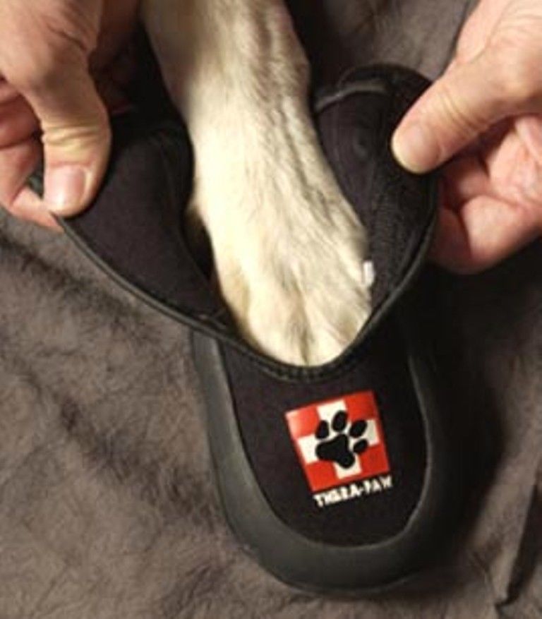 Thera Paw Protector Large Padded Boot Interior Padding Waterproof