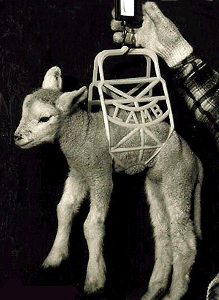 Lamb Kid Cradle Newborns Injured No Slip Carry 4 at a time Easy Quick Safe NEW