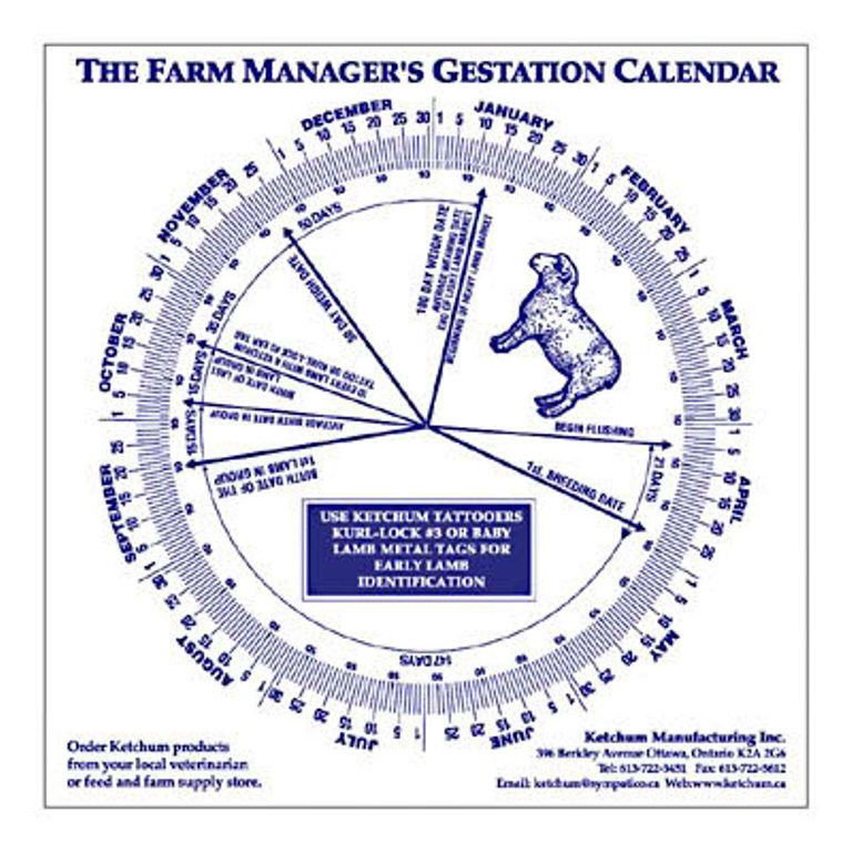 Sheep Gestation Calendar Calculate Birth Breeding EBay Sheep Gestation Calendar Calculate Birth Breeding EBay