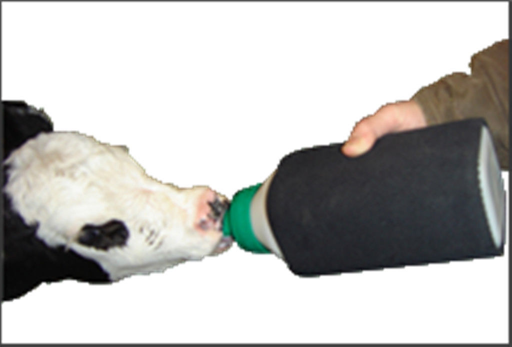 EZE Calf Koozie Milk Bottle Warmer Machine Washable Easily Slide on and off eBay