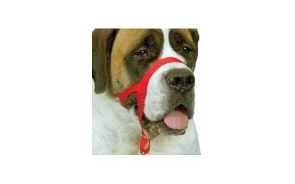 Halti Head Collar Dog Canine Size 4 Rottweiler, Mastiff, Newfoundland