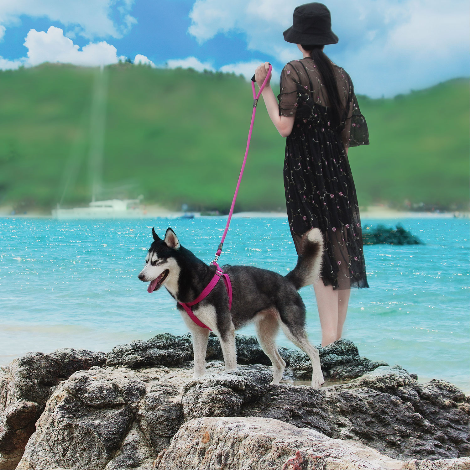 Dog Harness and Leash Set Heavy-Duty Rope Leash Adjustable No Pull Harness Vest