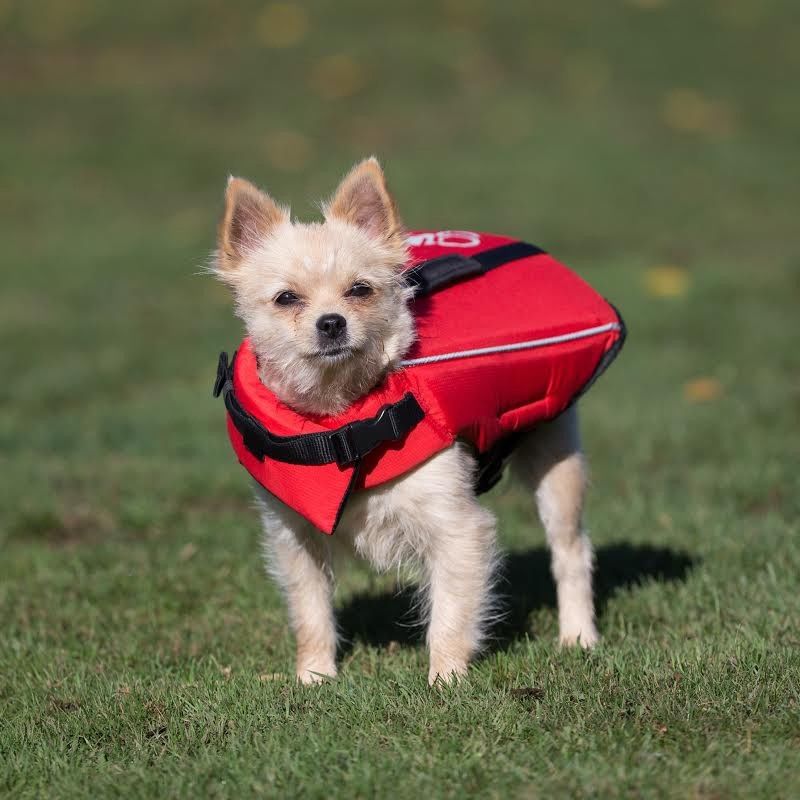 Dog Life Vest Flotation Device Heininger Portable Pet Reflective Vest