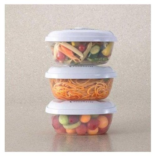 Foodsaver T02000024 24oz Lunch/Leftovers Containers, 3