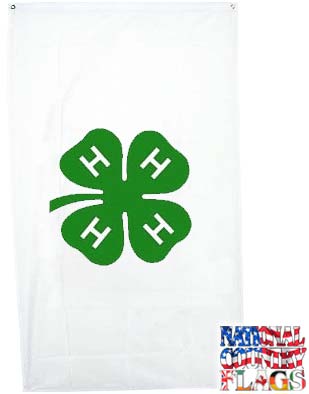 National Country Flags Main Auction Posting Image