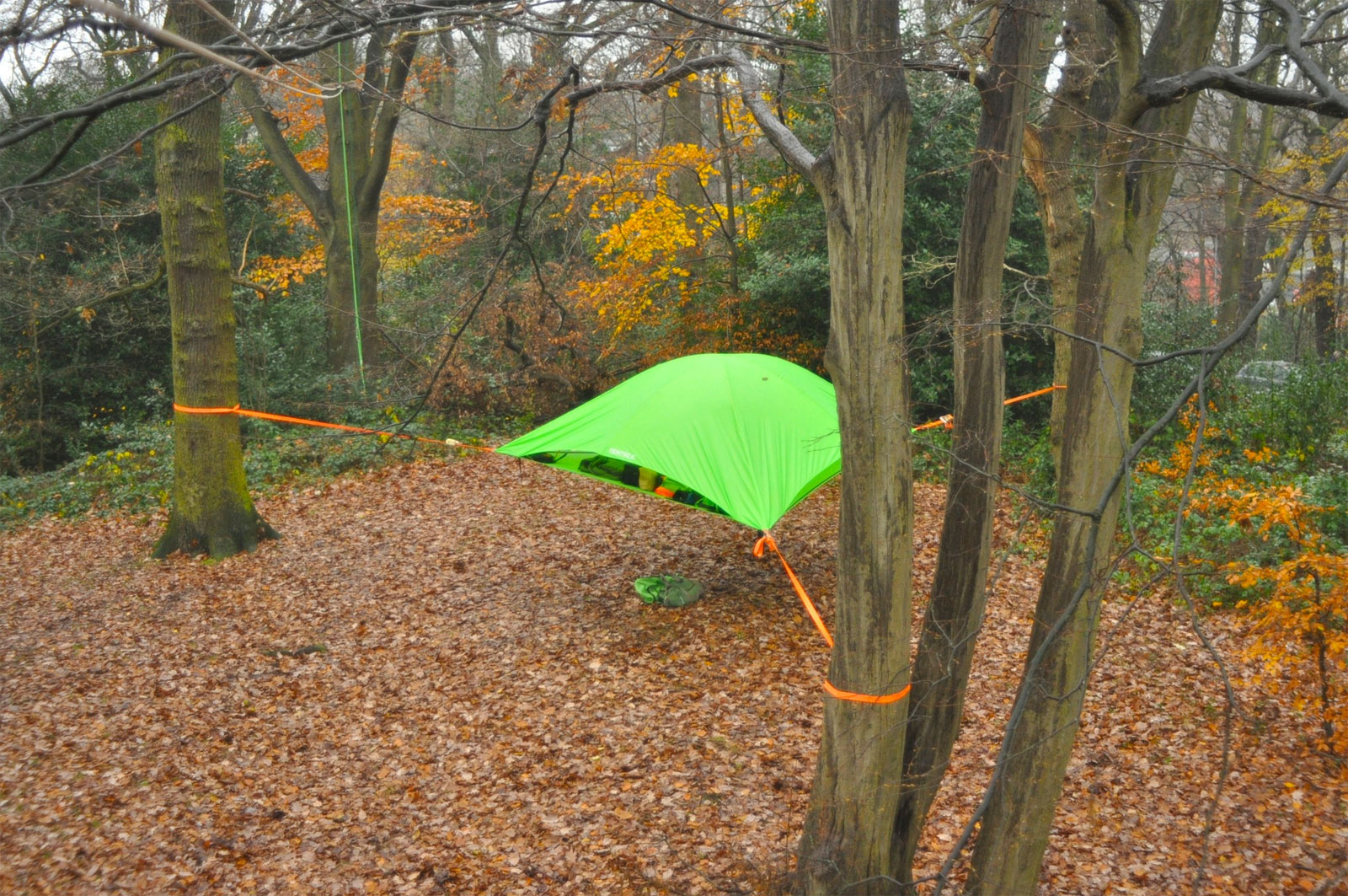 Tentsile Vista Tree Camping Tent with Free ENO LED Twilight Camp
