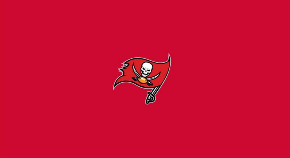 Tampa Bay Buccaneers Pool Felt Billiard Cloth