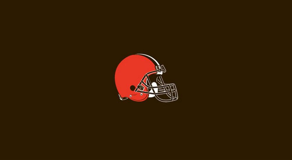 Cleveland Browns Pool Felt Billiard Cloth