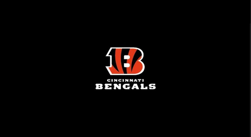 Cincinnati Bengals Pool Felt Billiard Cloth