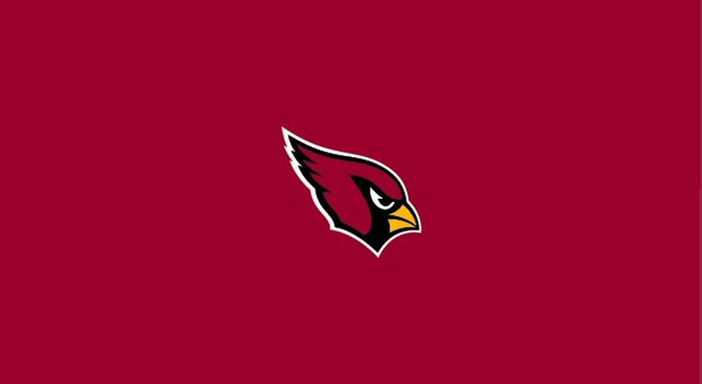 Arizona Cardinals Pool Felt Billiard Cloth
