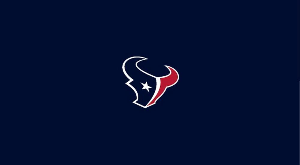Houston Texans Pool Felt Billiard Cloth