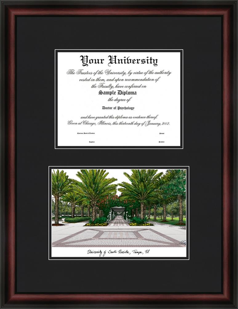 South Florida USF Bulls Diploma Frame & Lithograph Print