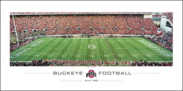 Ohio State University Buckeyes Panoramic Sports Picture Photo Poster