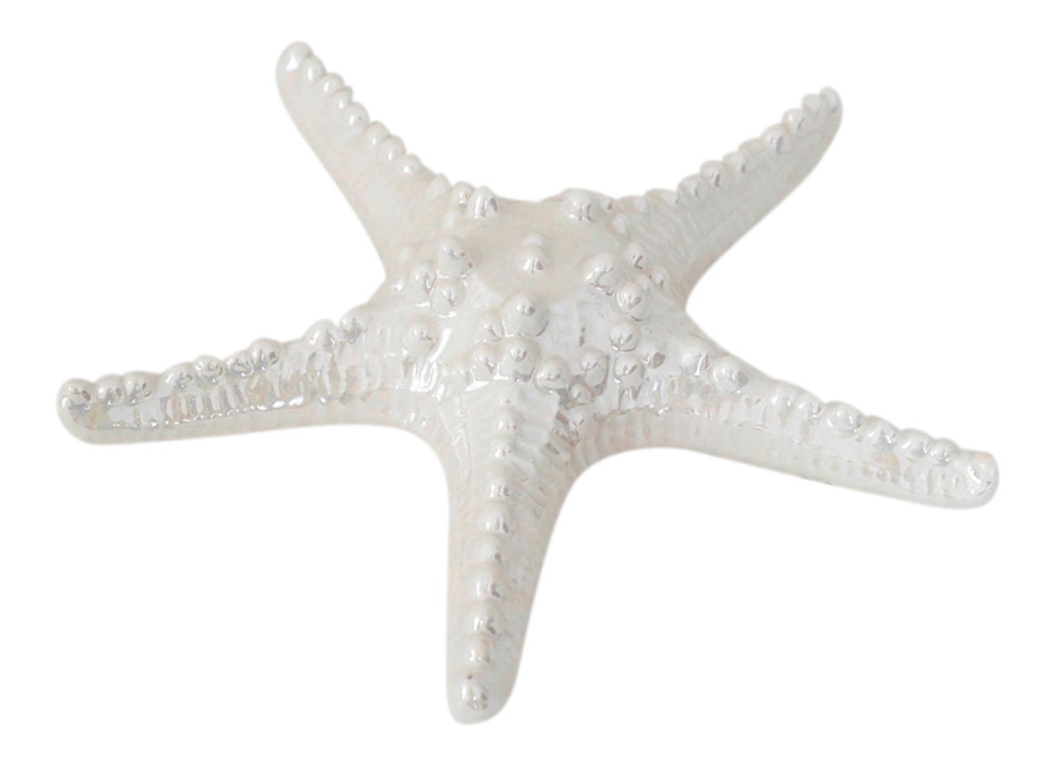 Armoured Sea Starfish White Pearlized Table Decor 7 Inches Figurine eBay